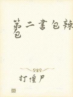 第二书包辣荷花包封面