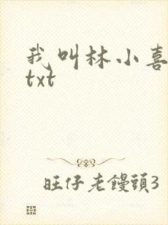 我叫林小喜小说txt
