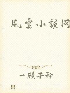 风云小说网