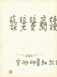 苏皎皎宋持的小说免费阅读