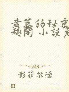 黄蓉的秘密 笔趣阁 小说免费阅读