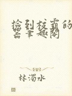 捡到校霸的遥控器笔趣阁