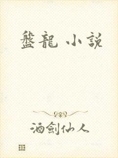 盘龙 小说