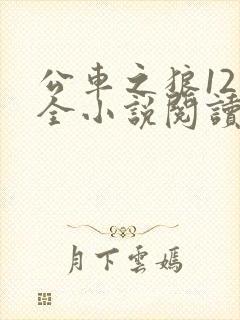 公车之狼12集全小说阅读