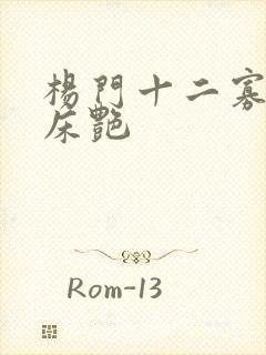 杨门十二寡妇肉床艳