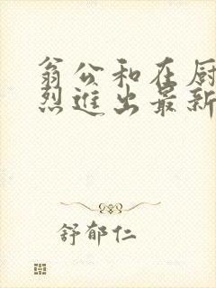 翁公和在厨房猛烈进出最新章节