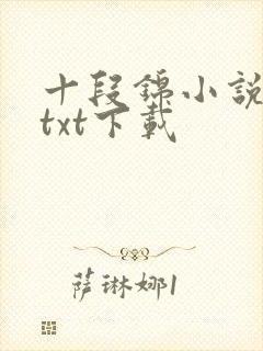十段锦小说全本txt下载