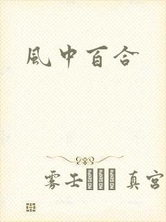 风中百合封面