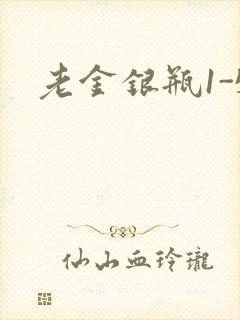 老金银瓶1-5封面