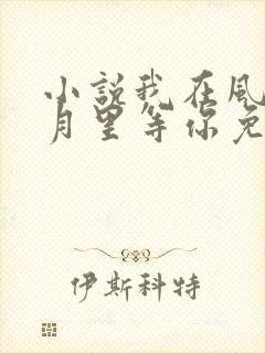 小说我在风花雪月里等你免费阅读