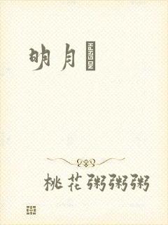 明月珰封面