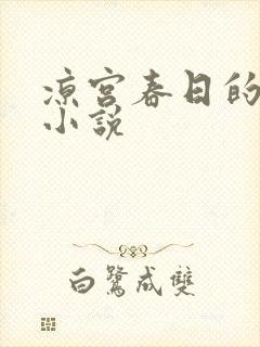 凉宫春日的忧郁小说封面