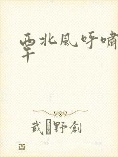 西北风呼啸的中午