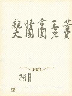 亲情会王芳高敏大团圆免费阅读封面