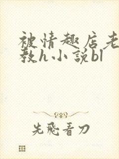 被情趣店老板调教h小说bl封面