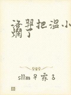 洛羿把温小辉做烂了封面