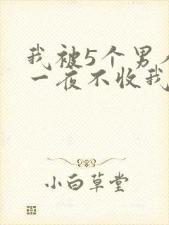我被5个男人躁一夜不收我怎么办封面