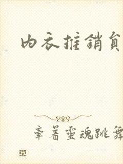 内衣推销员封面