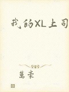 我的XL上司