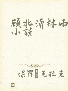 顾北潇林雨菲的小说