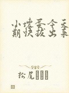 小坏蛋今天危险期快拔出来