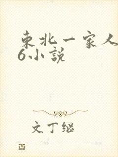 东北一家人1一6小说