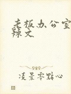 老板办公室系列辣文