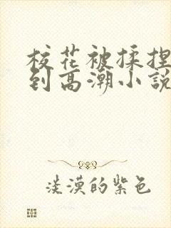 校花被揉捏奶子到高潮小说封面