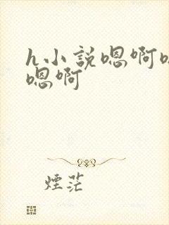 h小说嗯啊嗯啊嗯啊