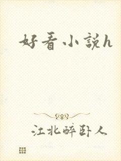 好看小说h