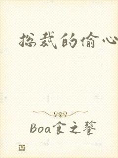 总裁的偷心娇妻