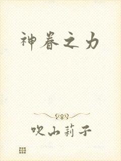 神眷之力