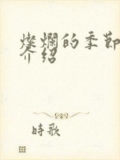 灿烂的季节剧情介绍