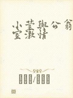 小莹与公翁办公室激情封面