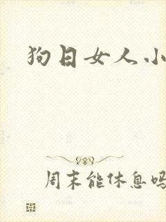狗日女人小说