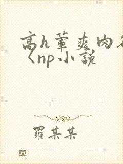 高h荤爽肉欲文〈np小说