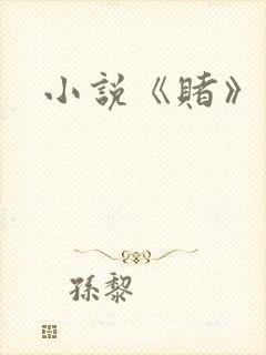 小说《赌》封面