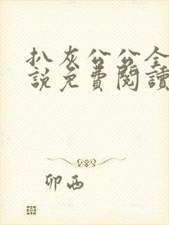 扒灰公公全部小说免费阅读全文封面