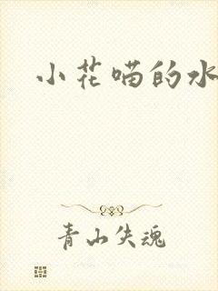 小花喵的水蜜桃