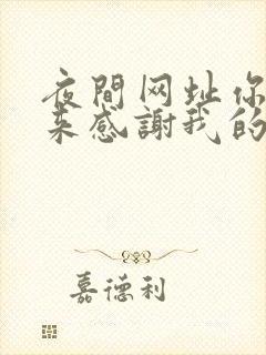 夜间网址你会回来感谢我的封面