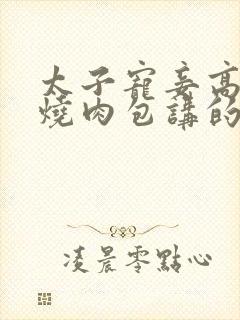 太子宠妾高肉红烧肉包讲的什么封面