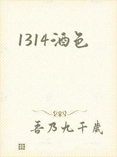 1314酒色封面
