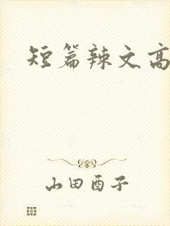 短篇辣文高h文封面