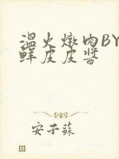 温火炖肉BY海鲜皮皮酱