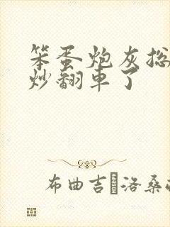 笨蛋炮灰总被爆炒翻车了