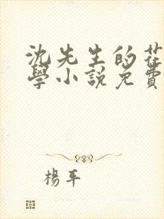 沈先生的花式教学小说免费