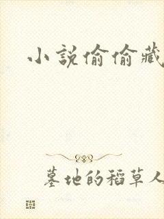 小说偷偷藏不住封面