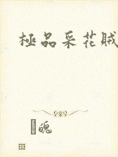 极品采花贼