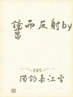 镜面反射by九葛