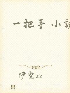 一把手 小说